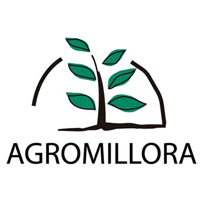 Agromillora